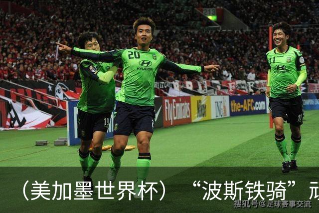 （美加墨世界杯）“波斯铁骑”顽强两连平 伊朗队期待更进一步